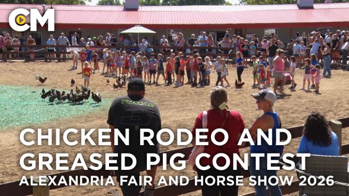 Thumbnail image for Chicken Rodeo and Greased Pig - Alexandria Fair and Horse Show 2026